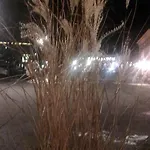 Lejlighed Alpensonne