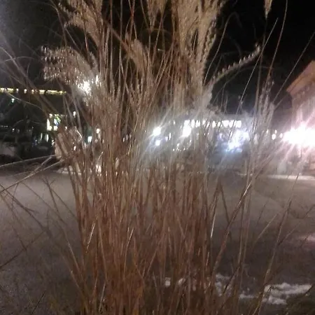 Apartment Alpensonne